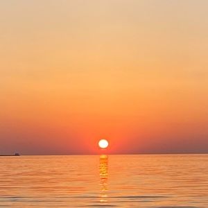 Meet your Posher, Maya